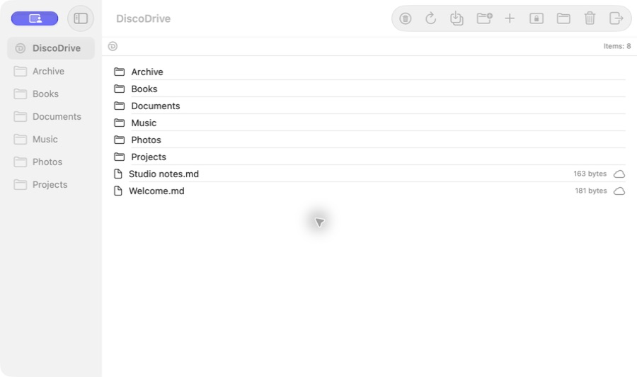 The native DiscoDrive app for macOS: a list of folders and files with their sizes.